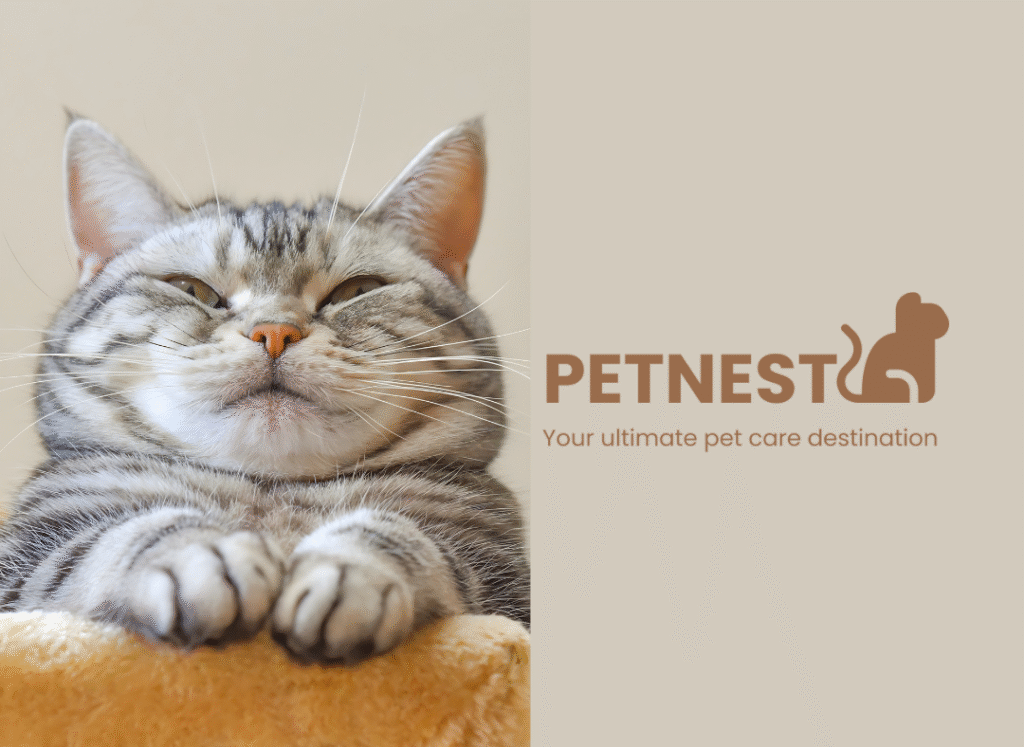 pet care